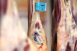 افزایش قیمت گوشت در بازار آزاد | توزیع گوشت یارانه ای یخی در میادین میوه و تره‌بار