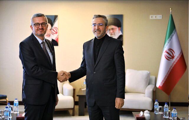 باقری : مناسبات ایران و ترکیه رقبا و دشمنان جدی دارد