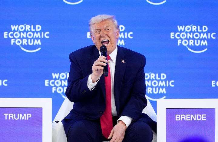 شورای صلح یا مجمع دیوانگان و جانیان؟