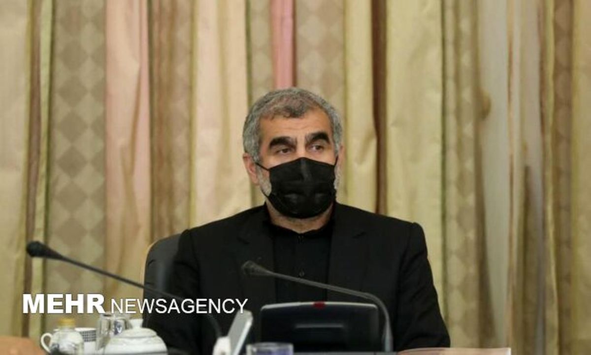 نظر علی نیکزاد درباره طرح «شفافیت»