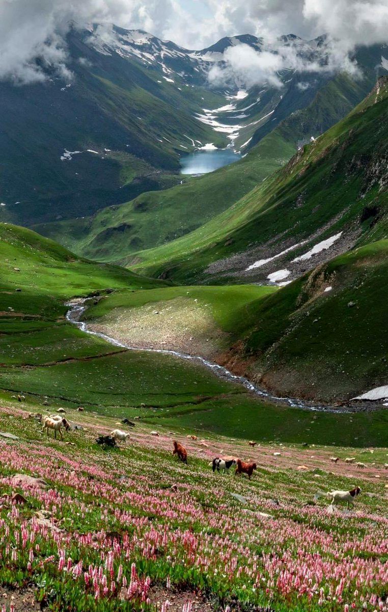 این منظره یک نقاشی نیست پاکستان است +عکس