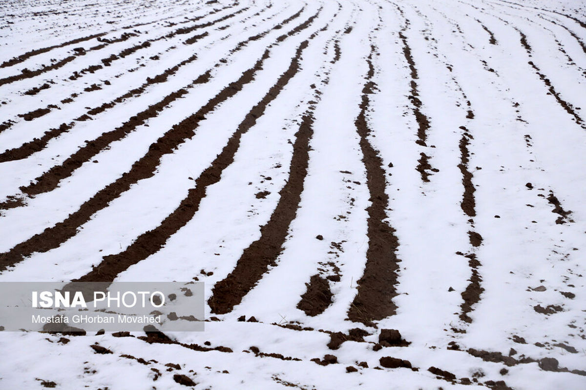 بارش برف مرز پیرانشهر را کاملا سفیدپوش کرد