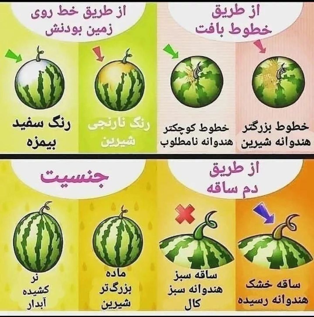 مشخصات هندوانه خوب چیه؟