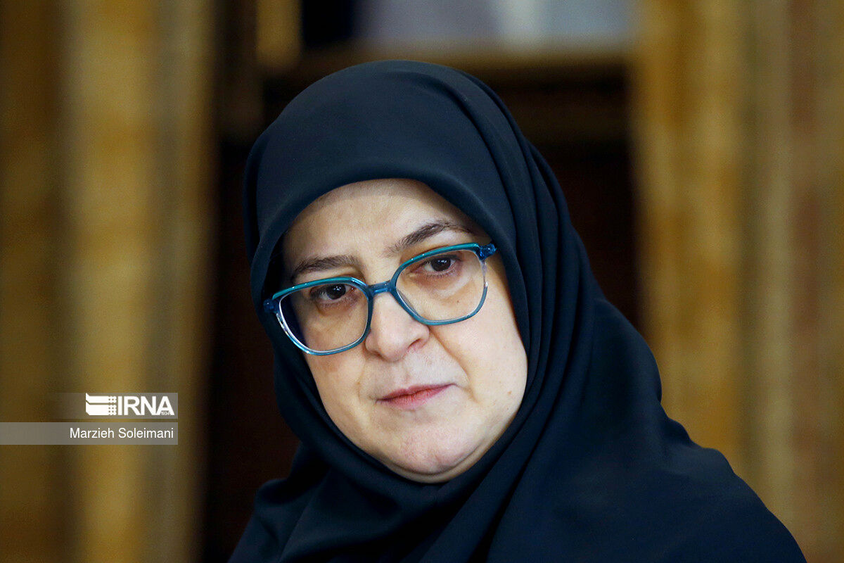 مهاجرانی: دیپلماسی ادامه میدان است