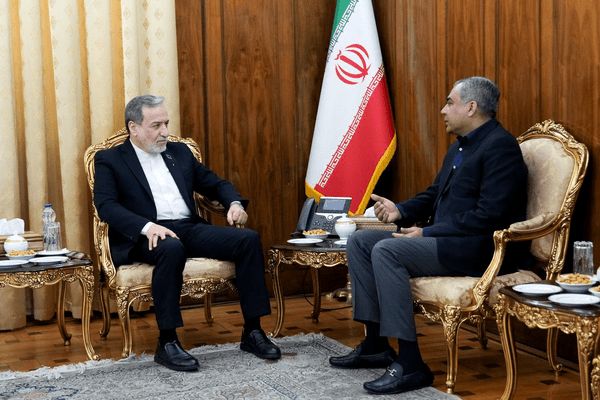 دیدار مجدد وزیر کشور پاکستان با عراقچی/ علت چه بود؟
