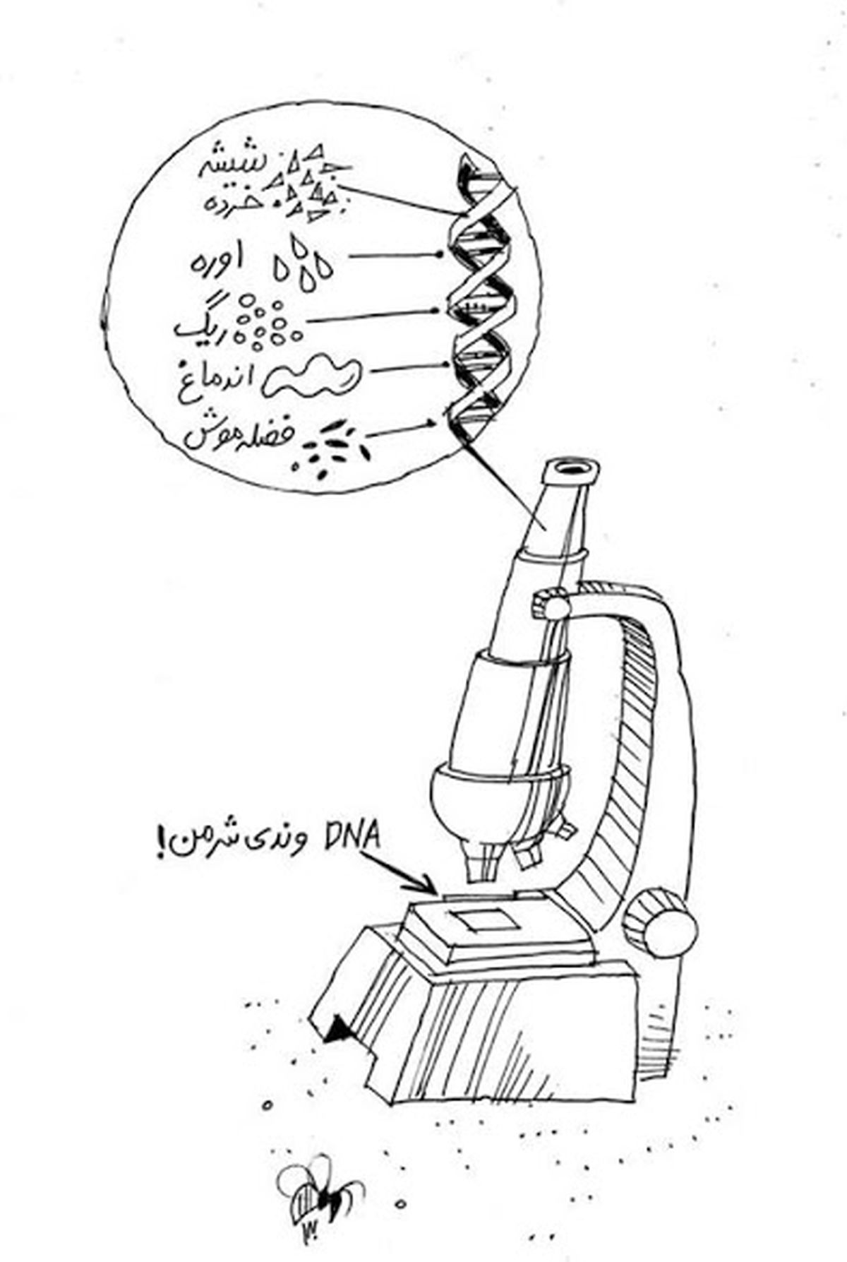 كاريكاتور/ DNA وندي شرمن