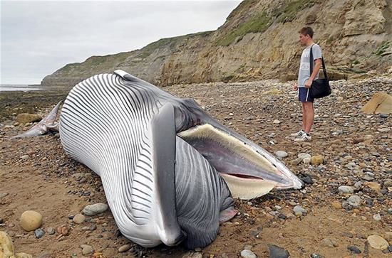 بدون شرح!/عکس