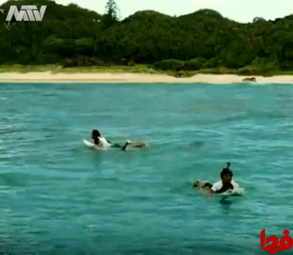 تصاویر: بلعیده شدن یک مرد توسط کوسه