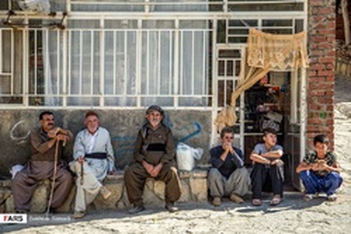 بژی ایران، بژی کردستان