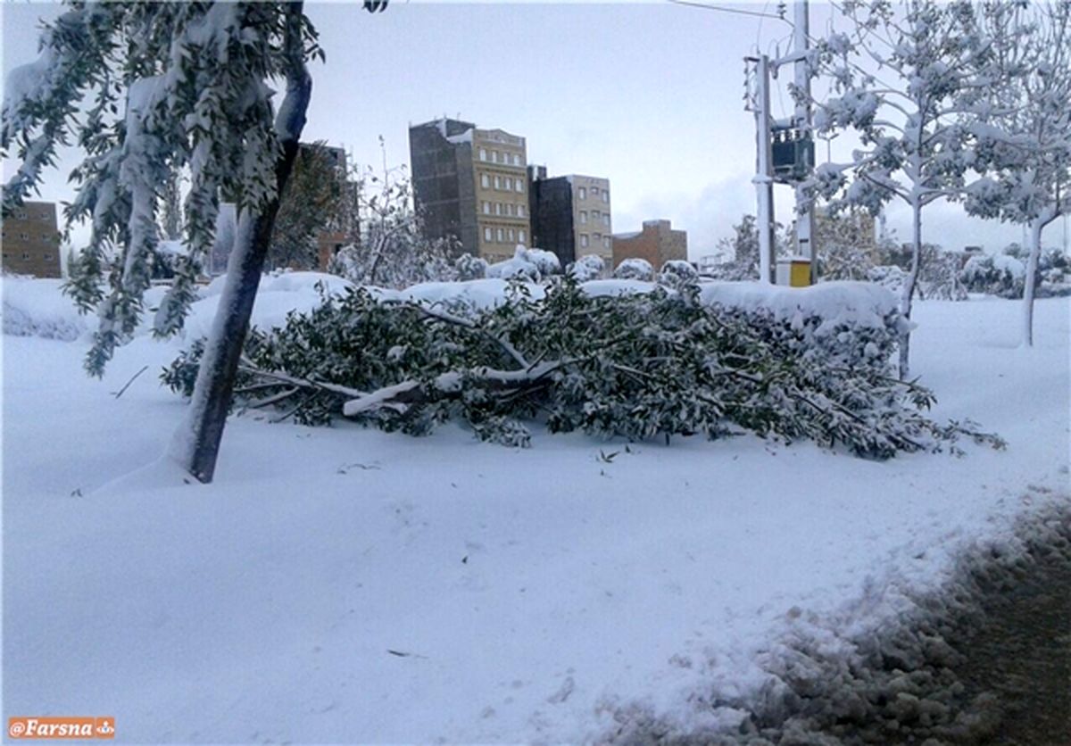 قطعی برق، تلفن و اینترنت اردبیل با بارش برف! +تصاویر