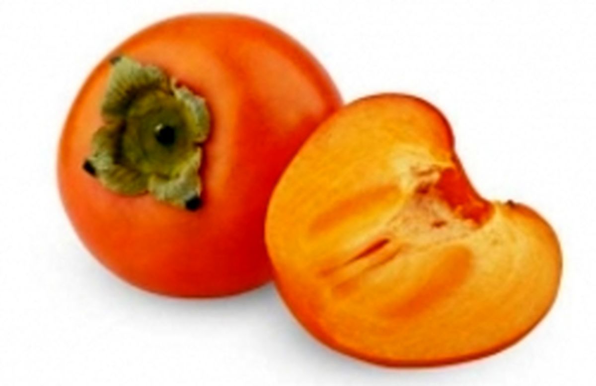 کرم خرمالو یک دسر خوشمزه
