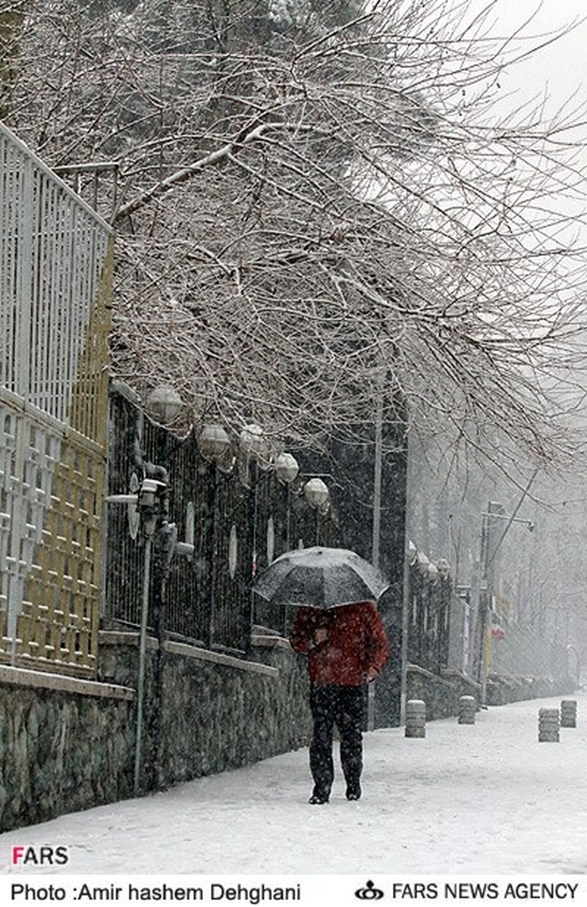 عکس/ تهران سفید شد