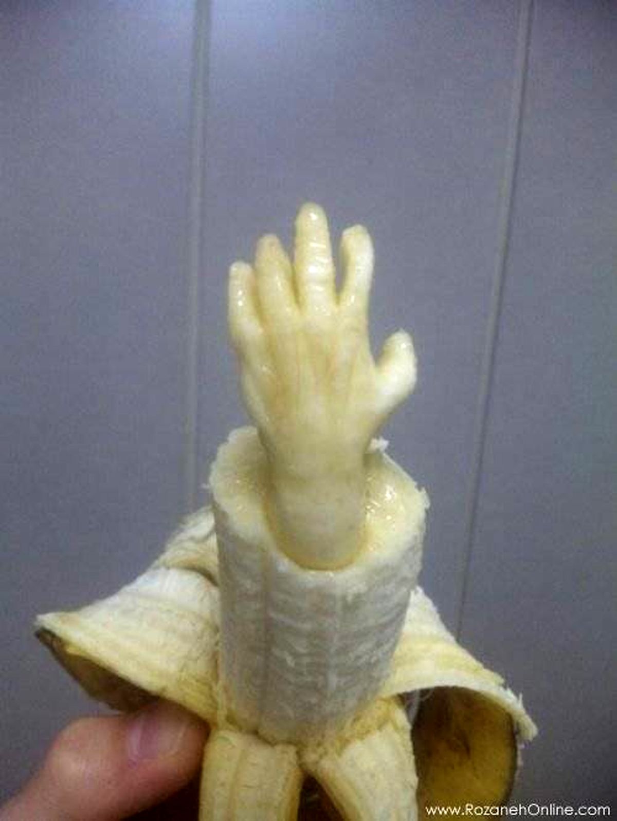 عکس/ بفرمایید داخل!