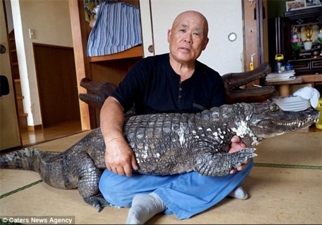 ۳۴ سال زندگی مشترک با حیوانی خطرناک +تصاویر