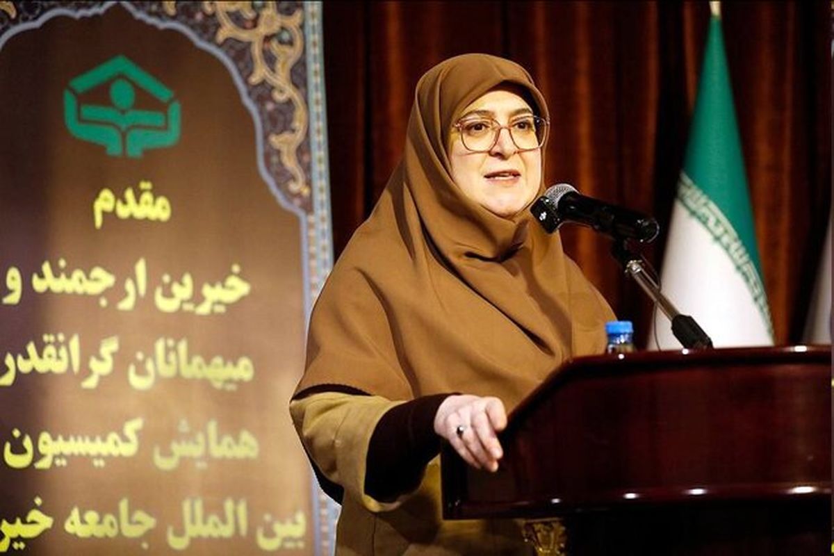 مهاجرانی: دولت طرحهای نیمهتمام خیران را تکمیل میکند
