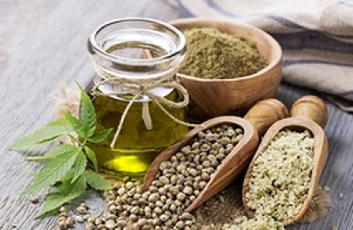 ۷ خواص و فوائد دمنوش شاهدانه/چگونه اختلال خواب و لاغری مفرط را با شاهدانه درمان کنیم؟
