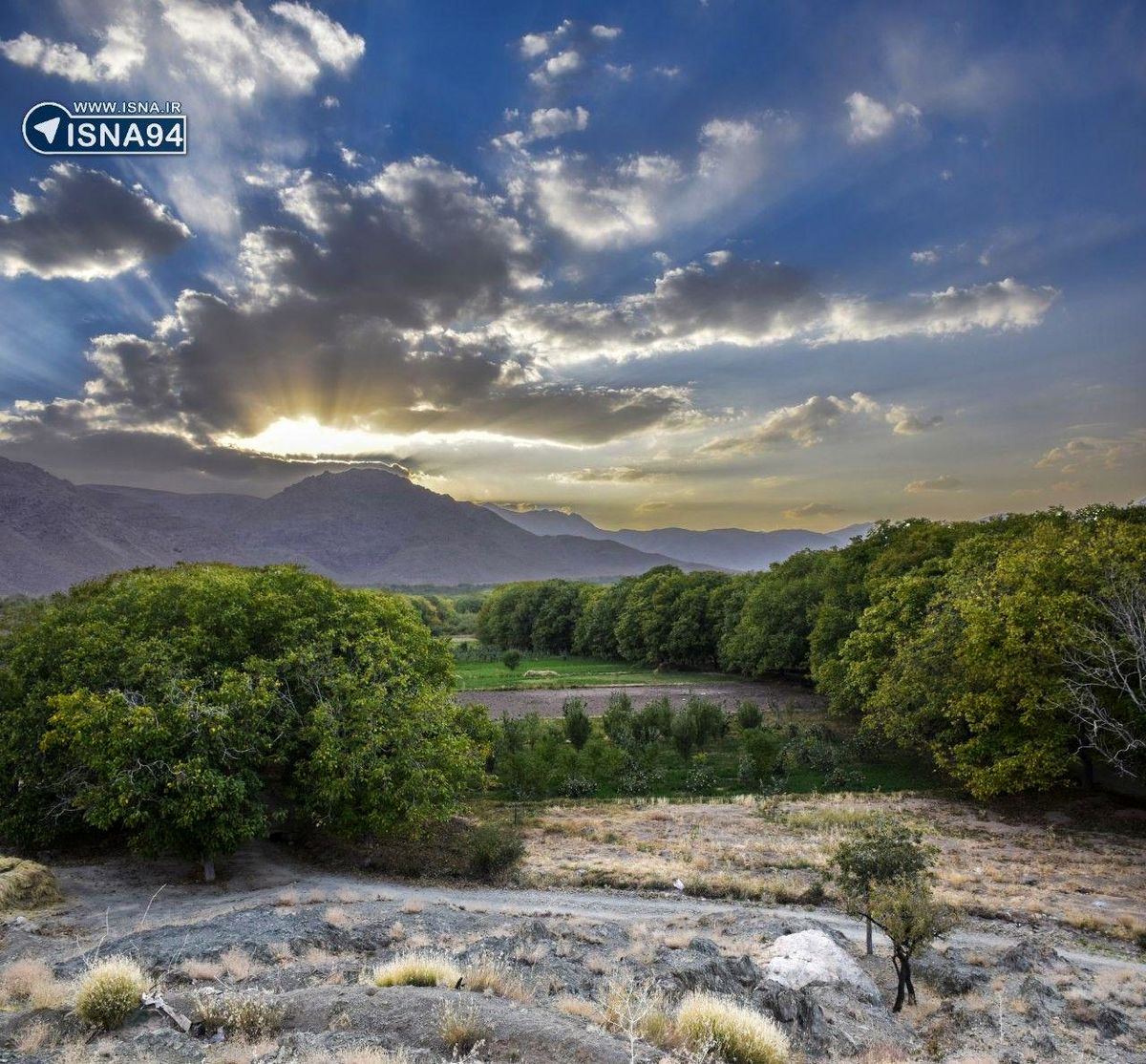 دیدن این عکس زیبا را از دست ندهید