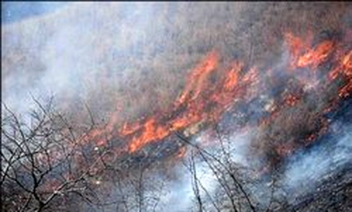 وقوع ۱۸ مورد آتش‌سوزی در جنگل‌های لرستان