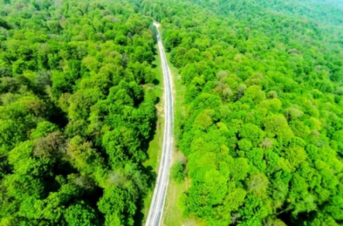 جاده رویایی در ایران/عکس