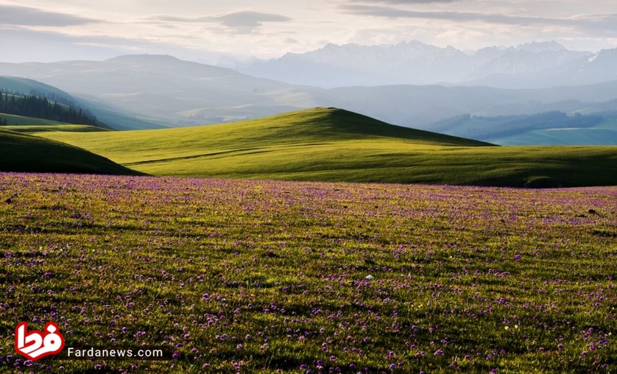 ۳۵ عکس بی نظیر از زندگی مردم سین کیانگ چین