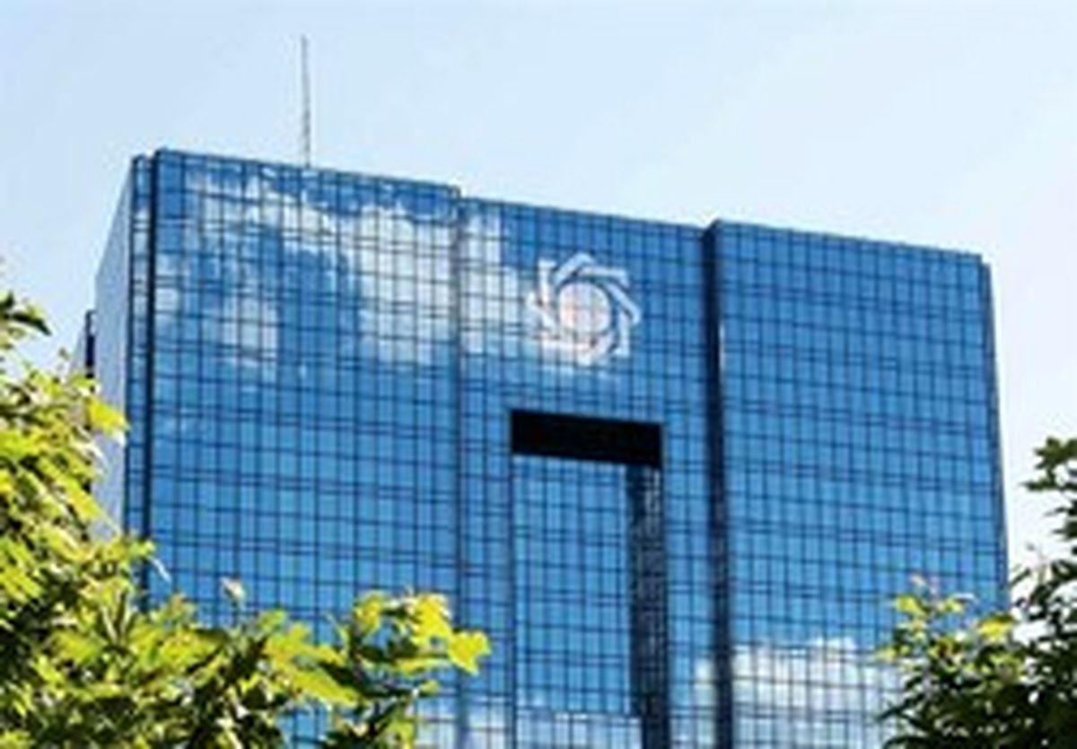 بانک مرکزی قوی‌تر عمل می‌کرد الان شاهد بنگاهداری بانک‌ها نبودیم