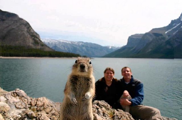 عکس خراب کن!