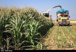 ایران و فرانسه تفاهم‌نامه کشاورزی امضا کردند +سند