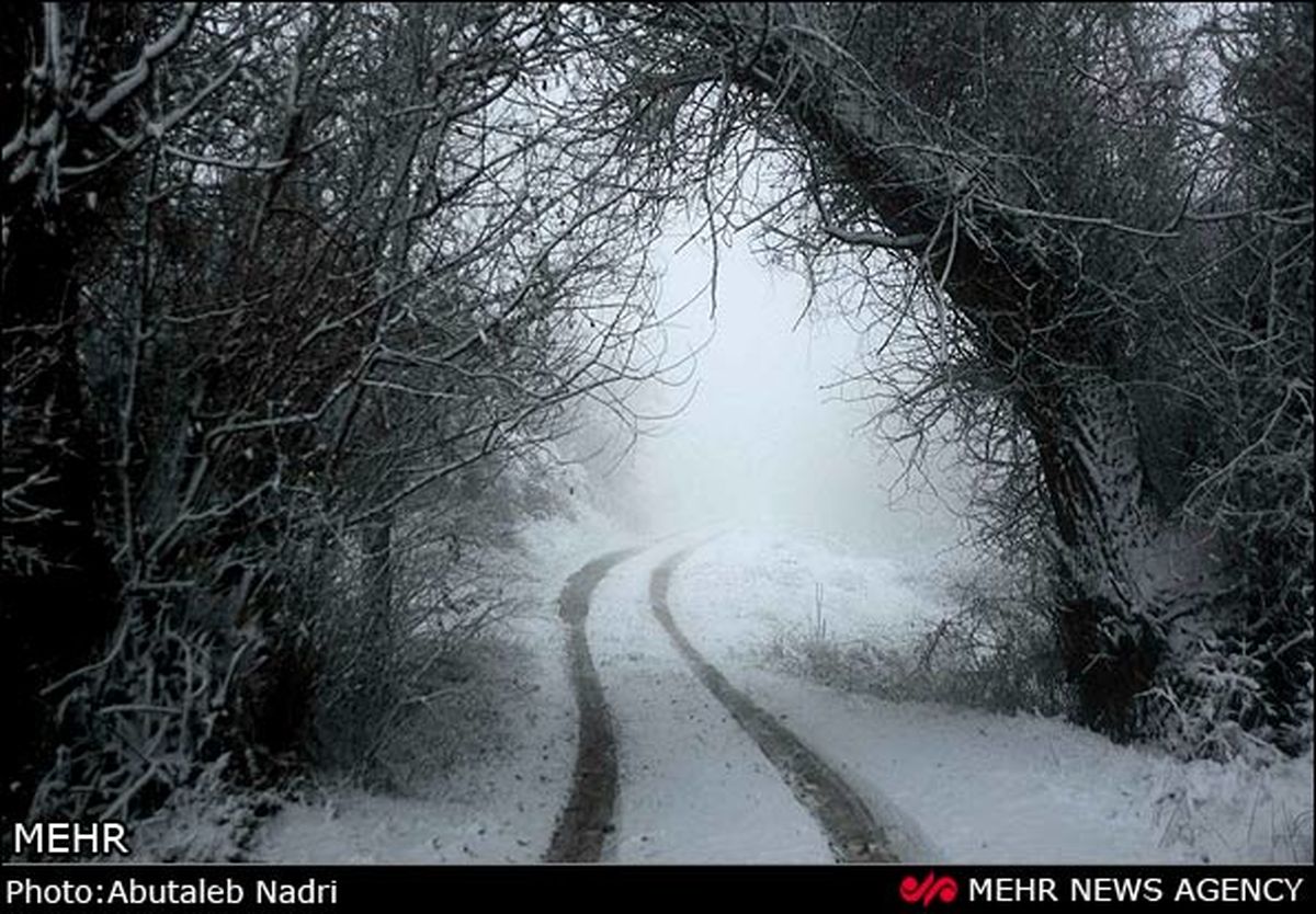 پارک ملی گلستان