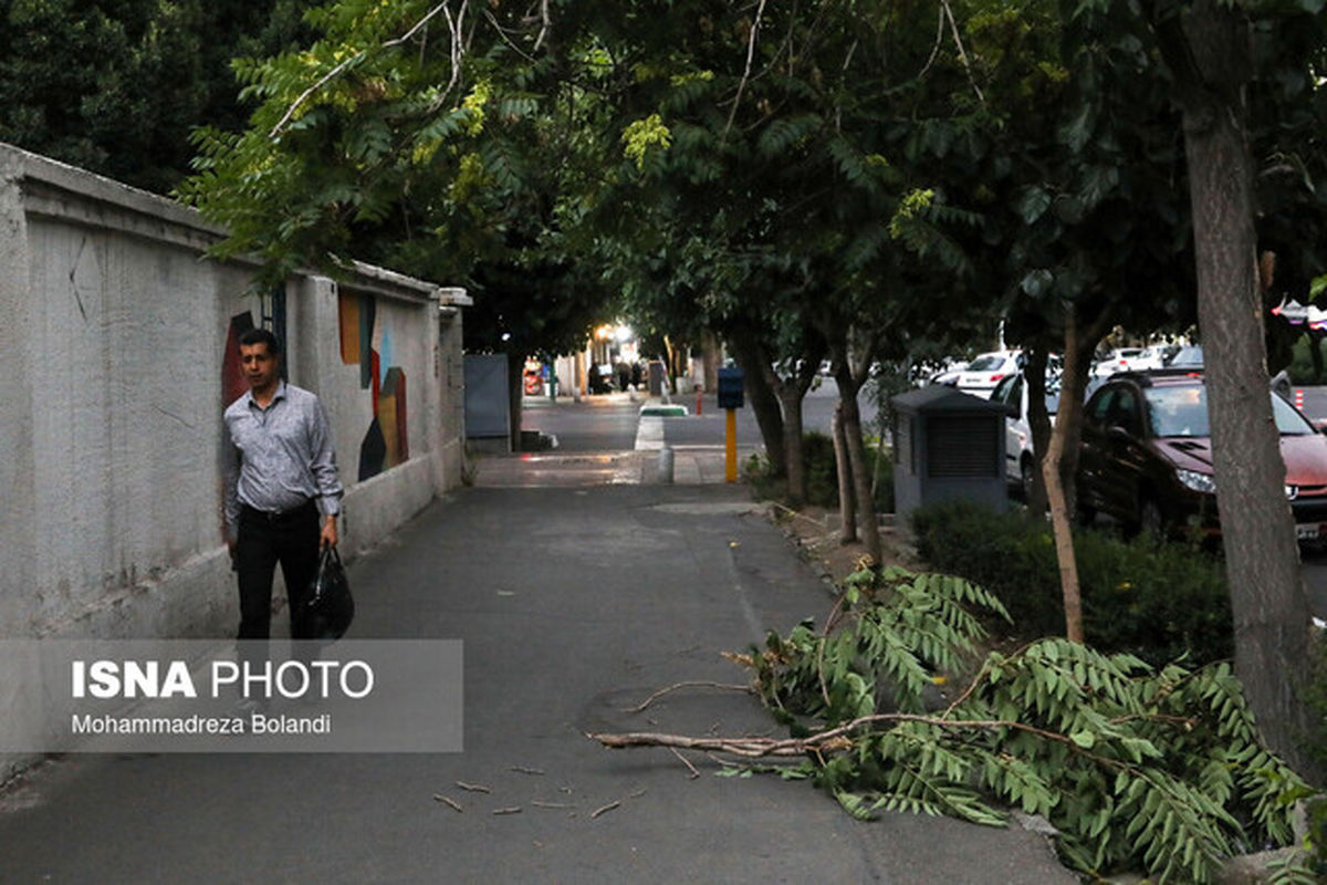 پیش بینی وزش باد و خیزش گرد و خاک در تهران