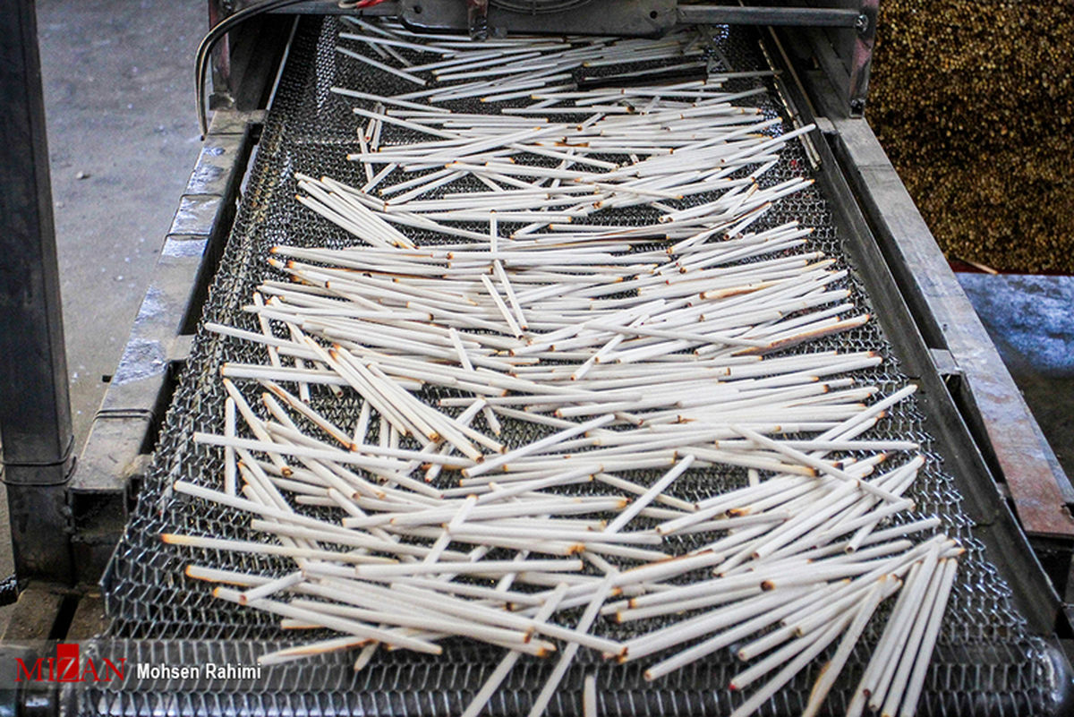 گزارش تصویری: مدادهای کاغذی چطور ساخته می‌شوند؟