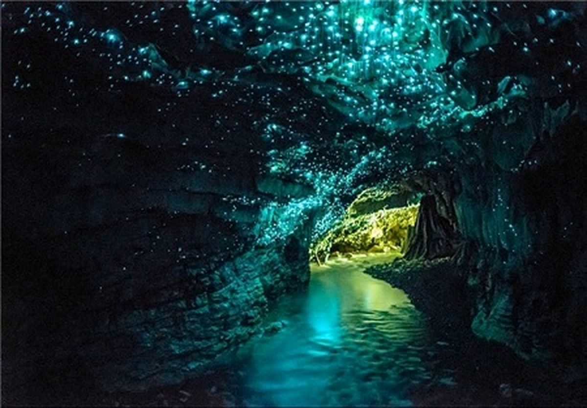 یک غار دیدنی در نیوزیلند/عکس