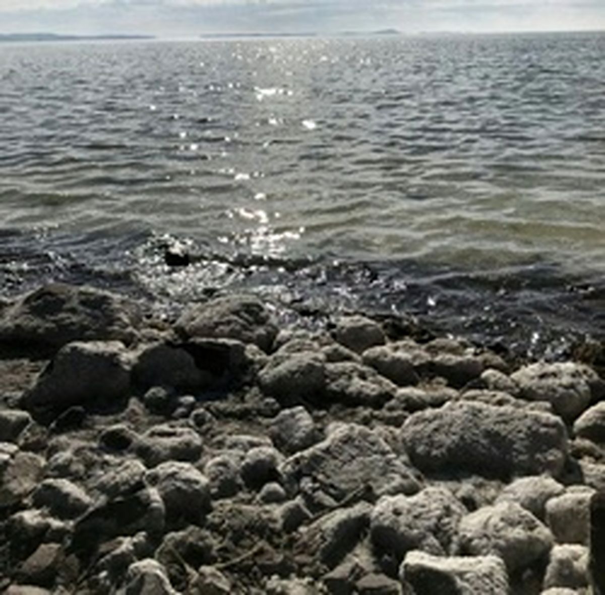 عکس: دریاچه ارومیه زنده شد!