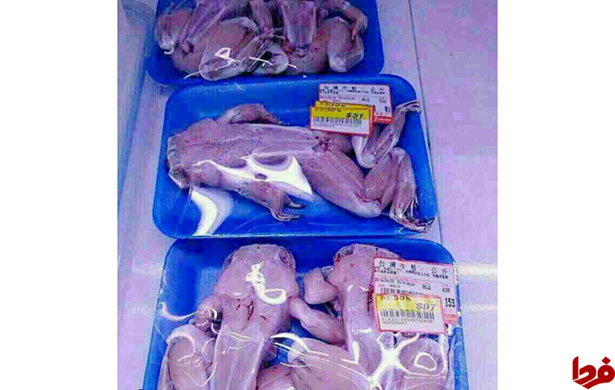 عکس: گوشت قورباغه چینی کیلویی۴۰ هزارتومان!