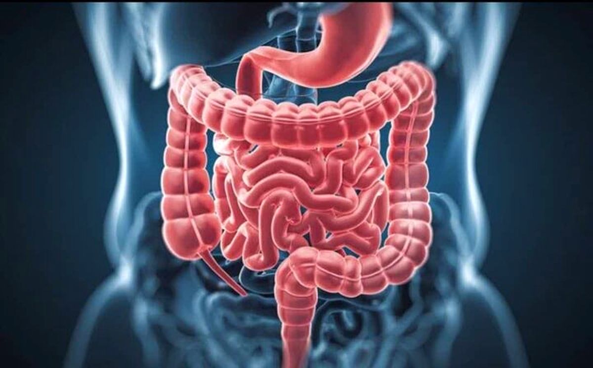 شیوع مشکلات گوارشی در دوران یائسگی