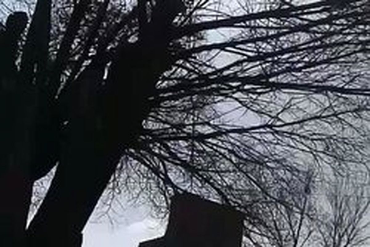 آخرین پیش بینی هواشناسی/احتمال وزش باد شدید