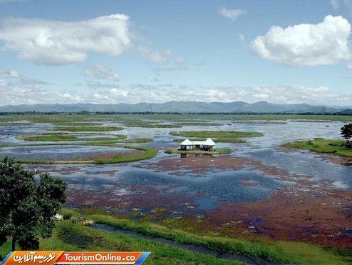 تصاویر: جزیره های شناور در هند