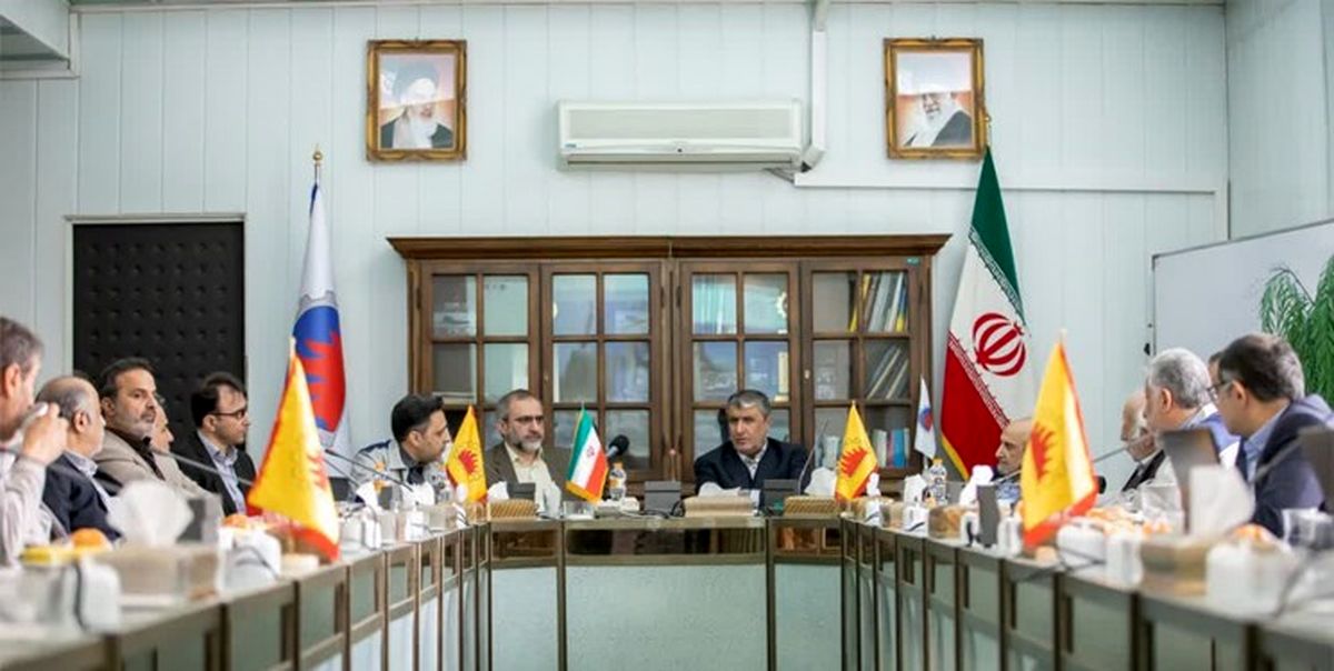 محمد اسلامی: اقدام برای دستیابی به سوخت هسته‌ای آغاز شده است