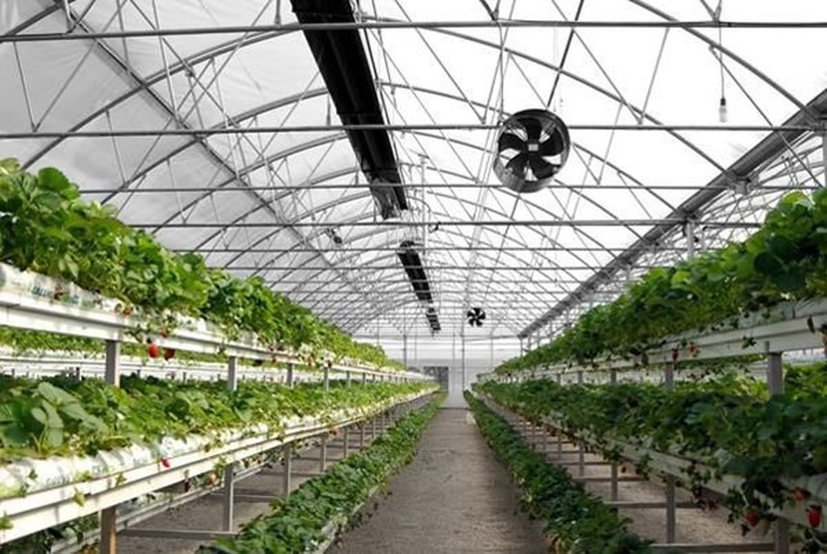 معرفی تجهیزات سرمایش و گرمایش گلخانه گرماسرماسازه شرق