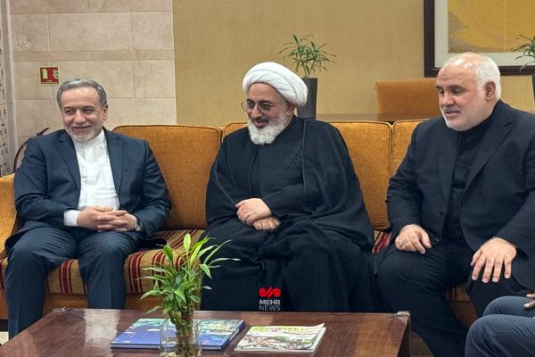 عراقچی وارد هند شد