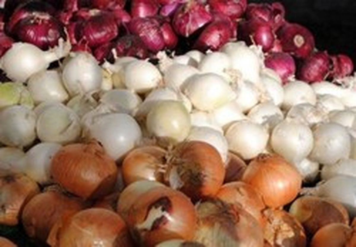 پیاز روی گرانی را سفید کرد! +جدول