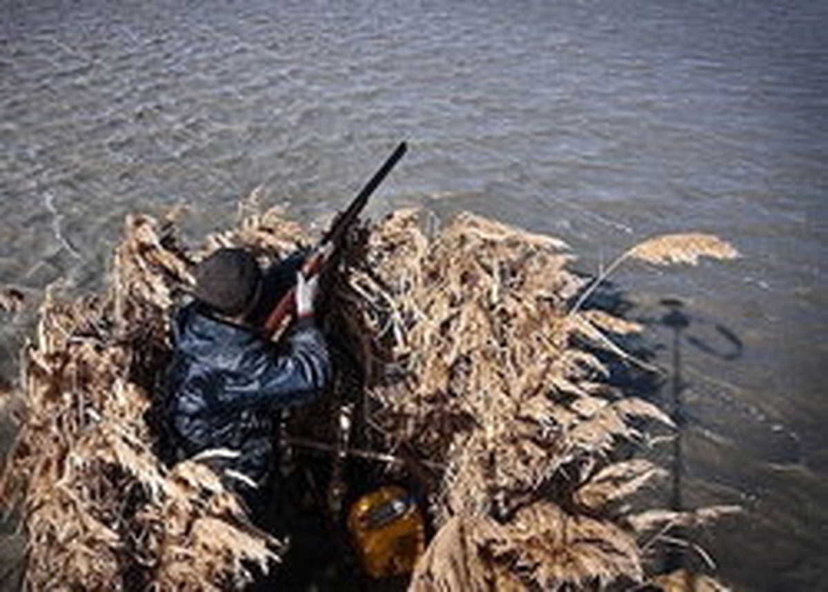 دستگیری ۳۰۸ متخلف محیط زیست در نوروز