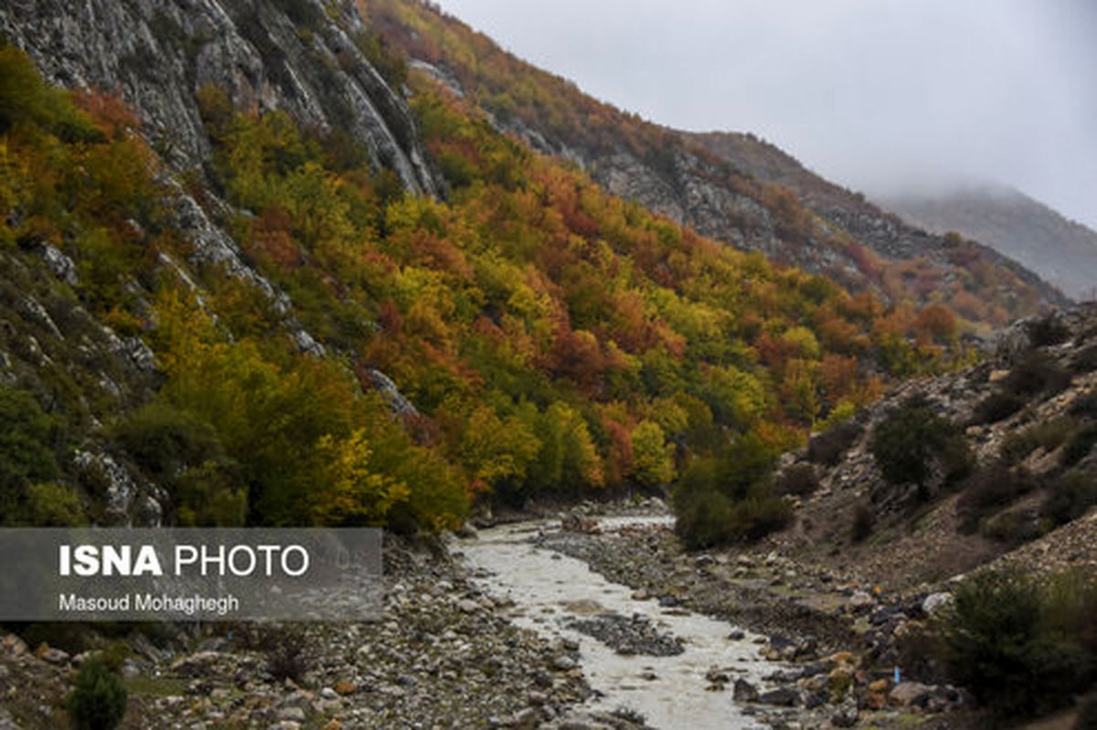 تصاویر: ایران زیباست؛ رنگ آمیزی پاییز در «پرور»