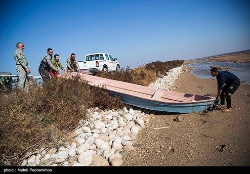 تصاویر: دانه ریزی برای پرندگان مهاجر در هورالعظیم