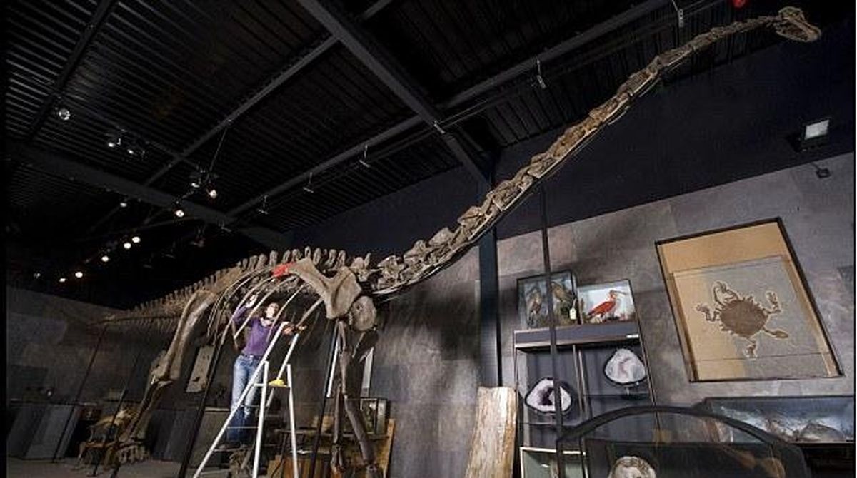 حراج دایناسور 150 میلیون ساله/عکس