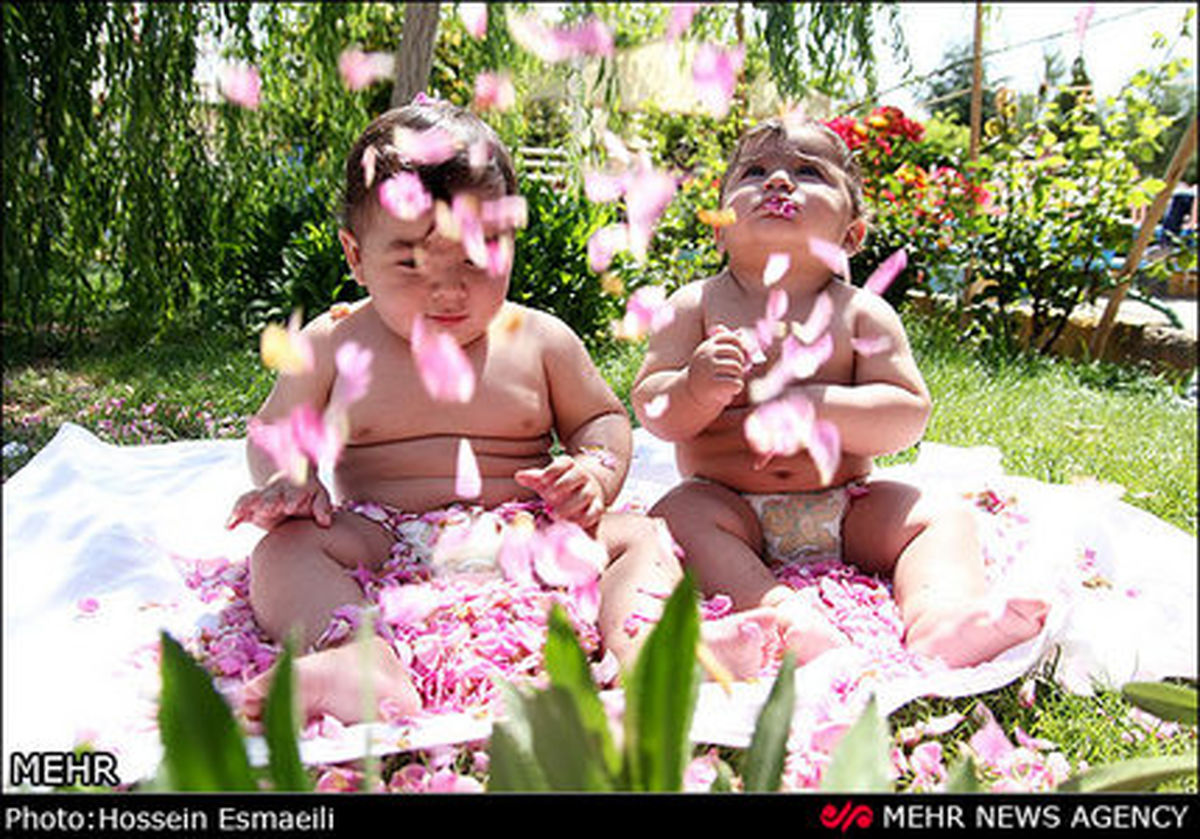 مراسم گل غلتان کودکان!/تصاویر