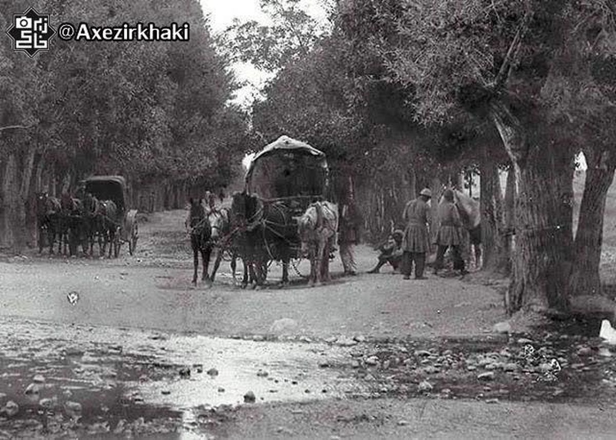عکس: کالسکه سواران در جاده شمیران!