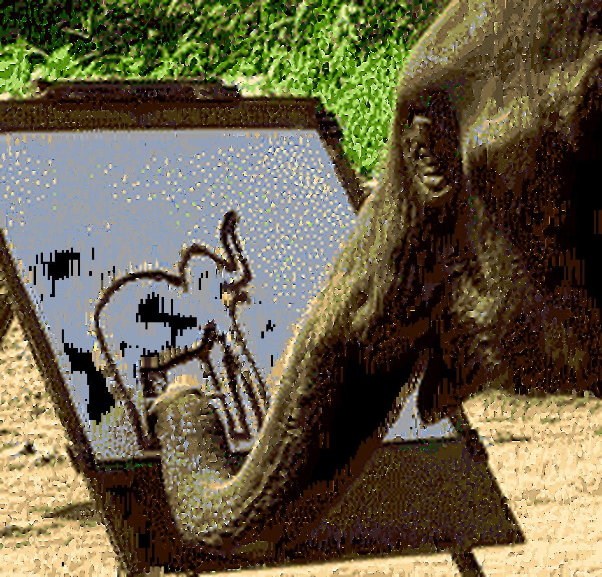 عکس متحرک/ فیل نقاش!