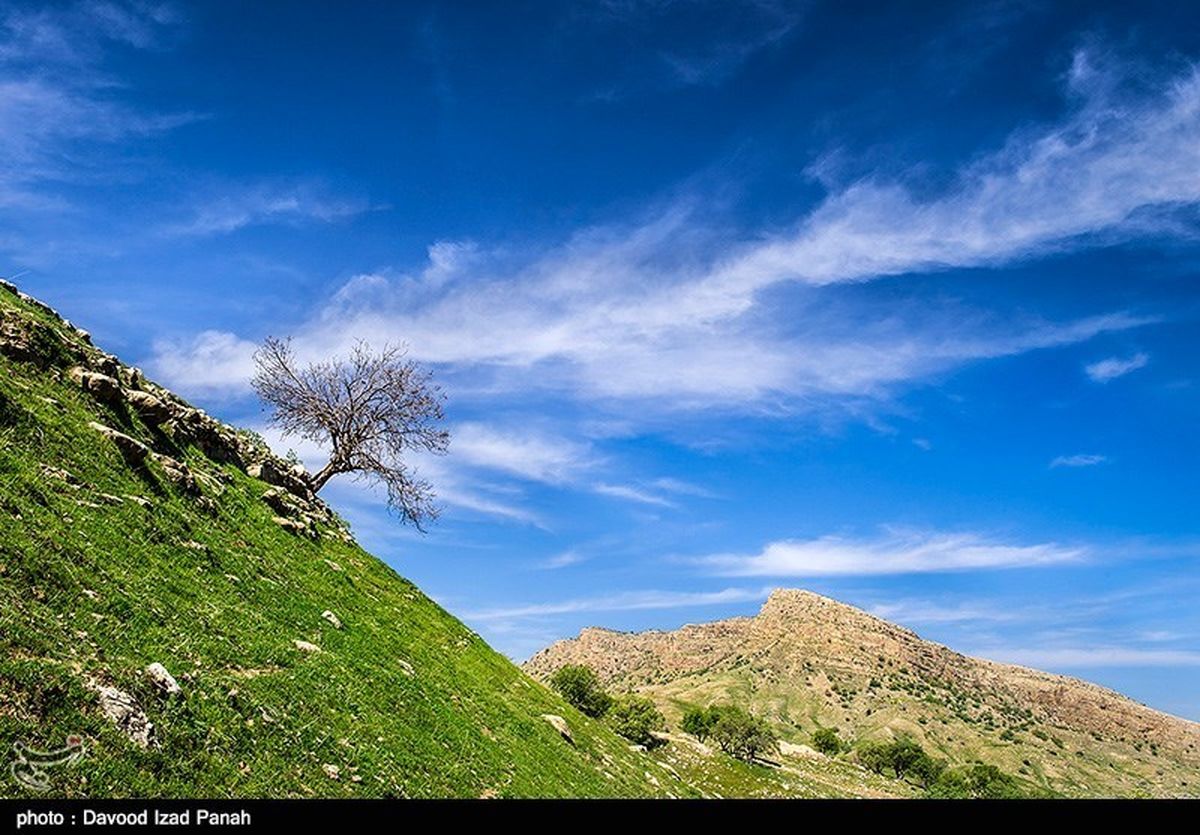 تصاویر: طبیعت زیبای بهاری در گچساران