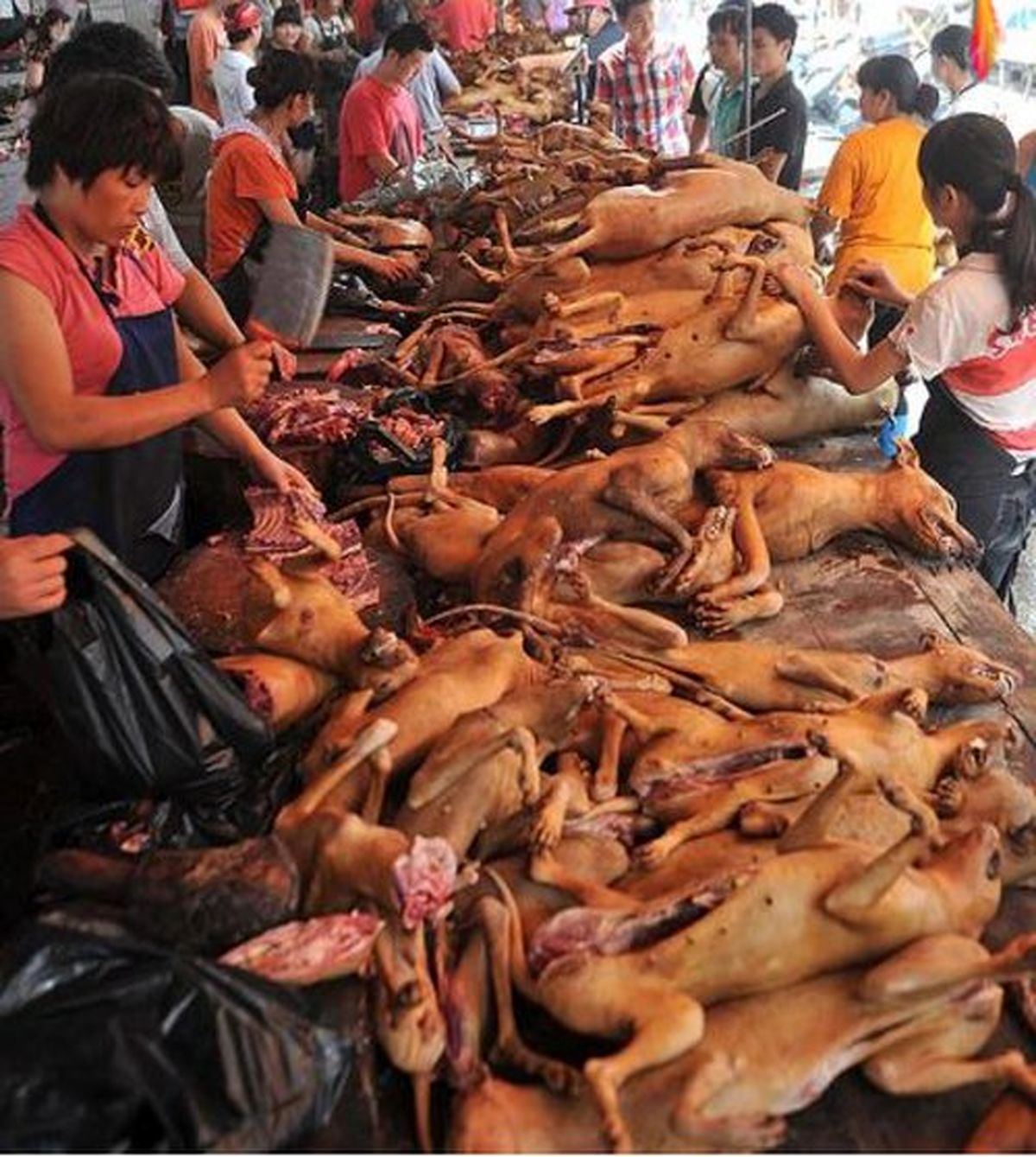 عکس تکاندهنده و چندشآور از یک قصابی!