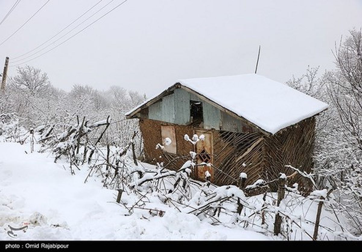 آغاز بارش برف و باران از روز جمعه